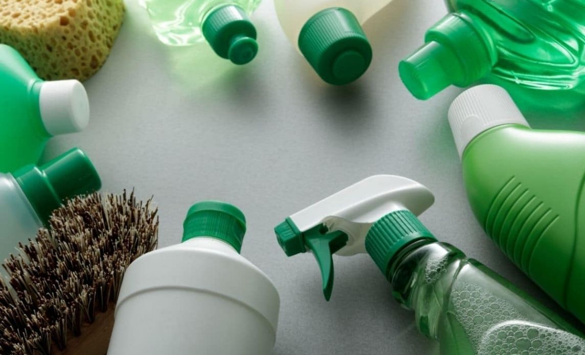 The Rise of Sustainable Brands: A Paradigm Shift in Consumer Behavior