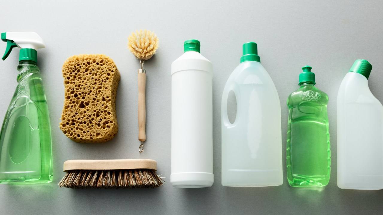 The Growing Preference for Eco-Friendly Products: Exploring Consumer Motivations